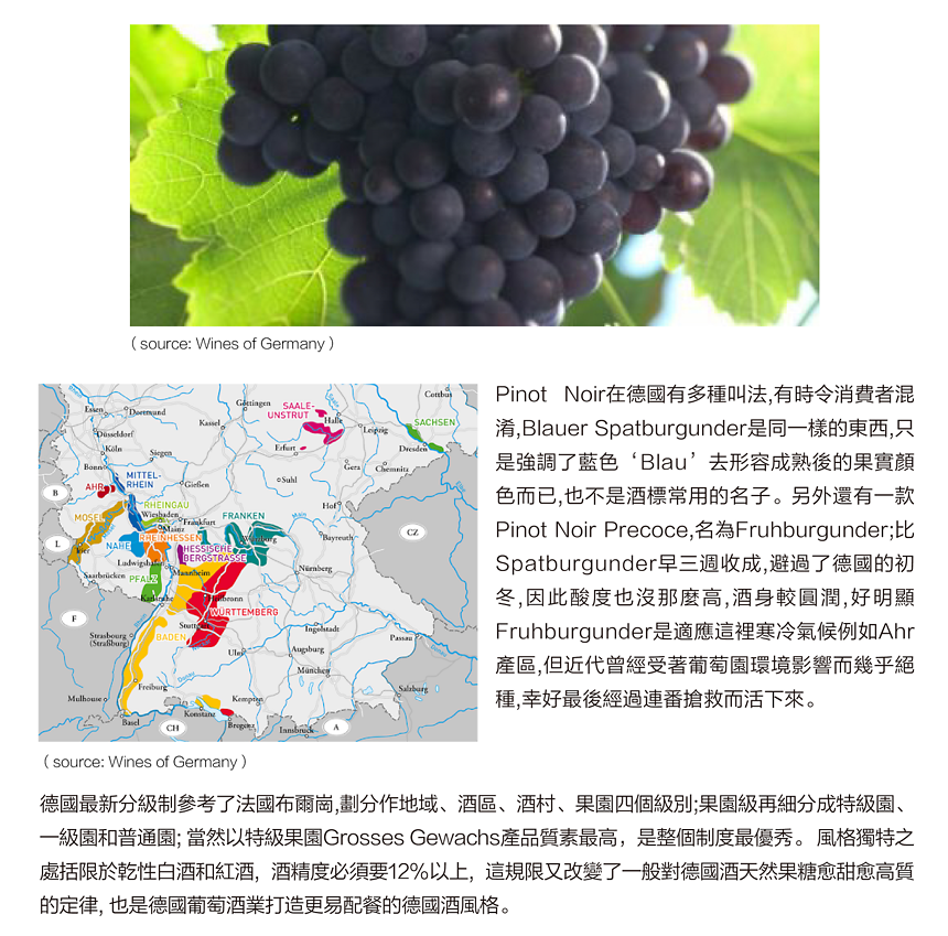 Issue 48 -  德國Pinot Noir