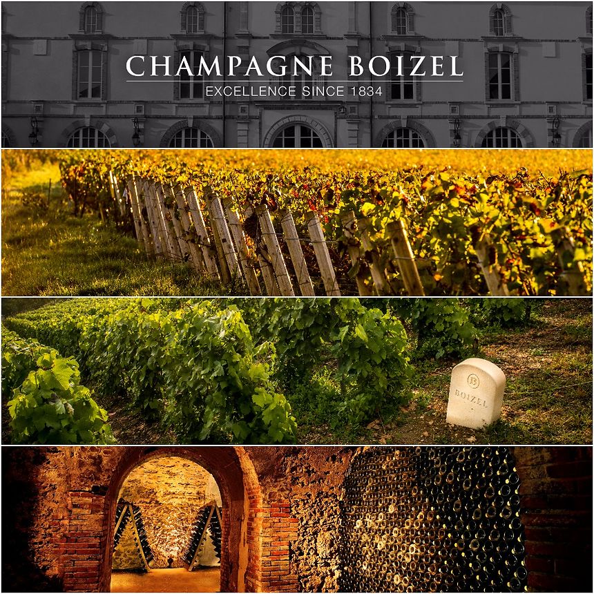 Champagne Boizel New Brand Launch Tasting at Private Cellar (5 Jul 2017)
