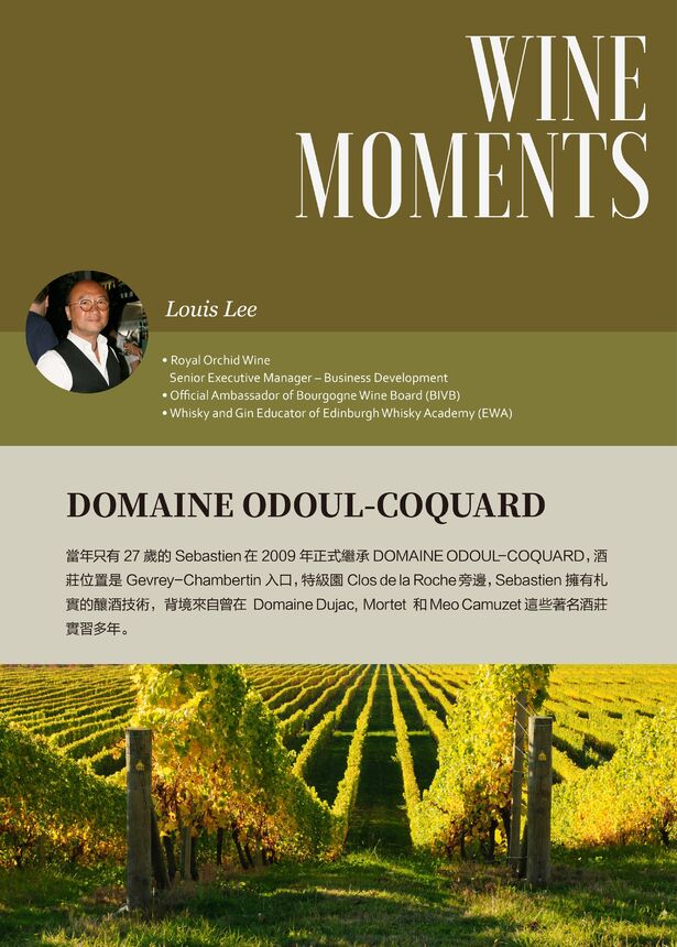 Issue 60 - DOMAINE ODOUL-COQUARD