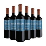Carmen - Reserva Carmenere 2022 (case by 6)