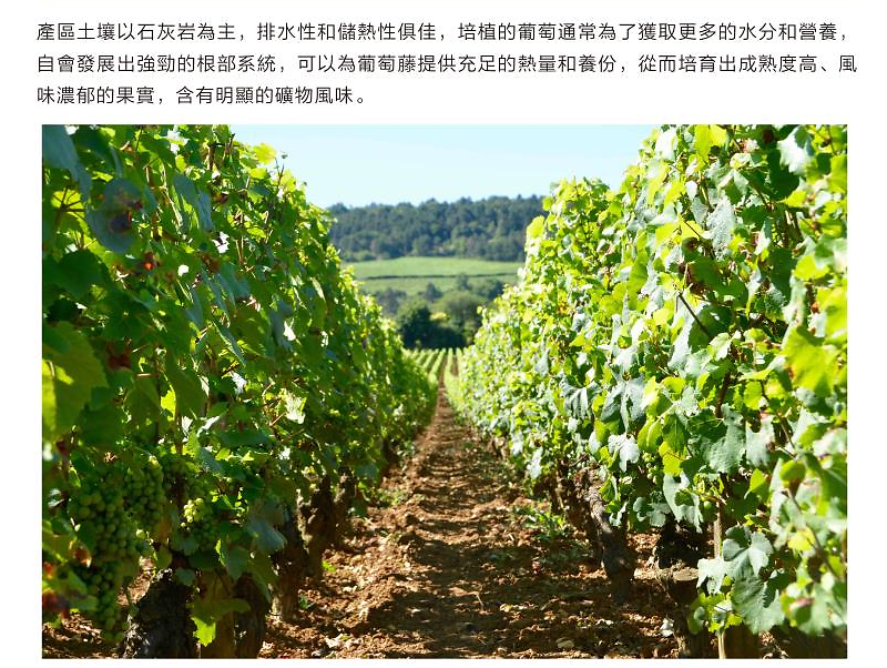 Issue 20 -  Chardonnay皇者之風