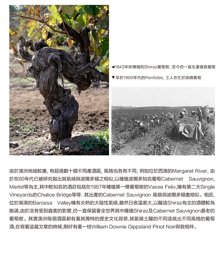 Issue 23 - 澳洲酒的全新體驗