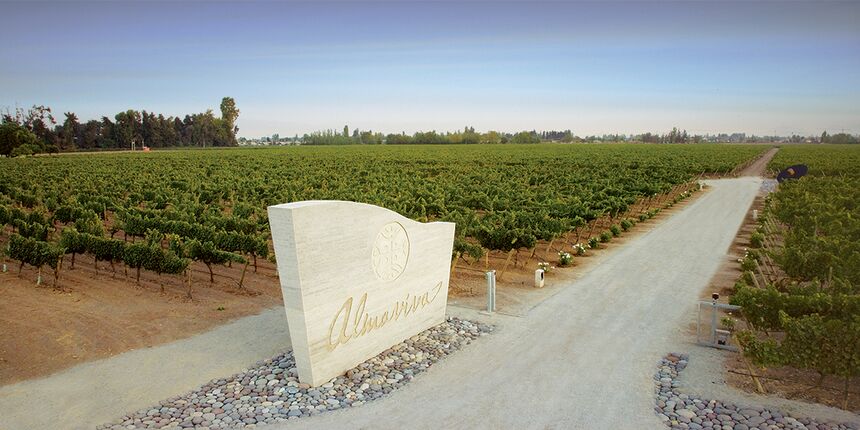 27 May 2023 | Almaviva Tasting at Private Cellar